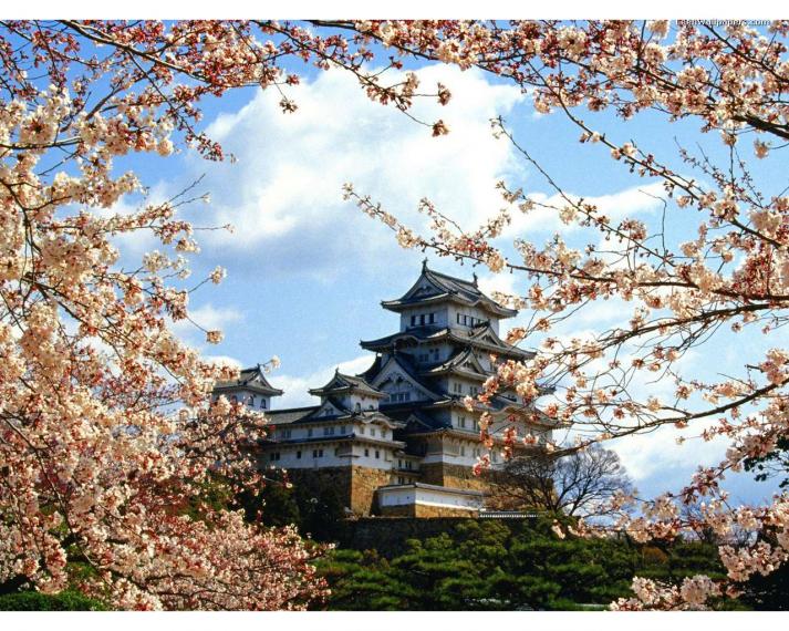 Tour Nhật Bản - Trung Tâm Du Lịch Và Thương Mại Phượng Hoàng